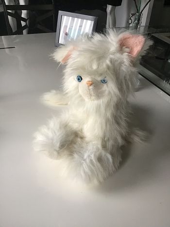 Peluche chat range pyjama trentenaire 🇫🇷