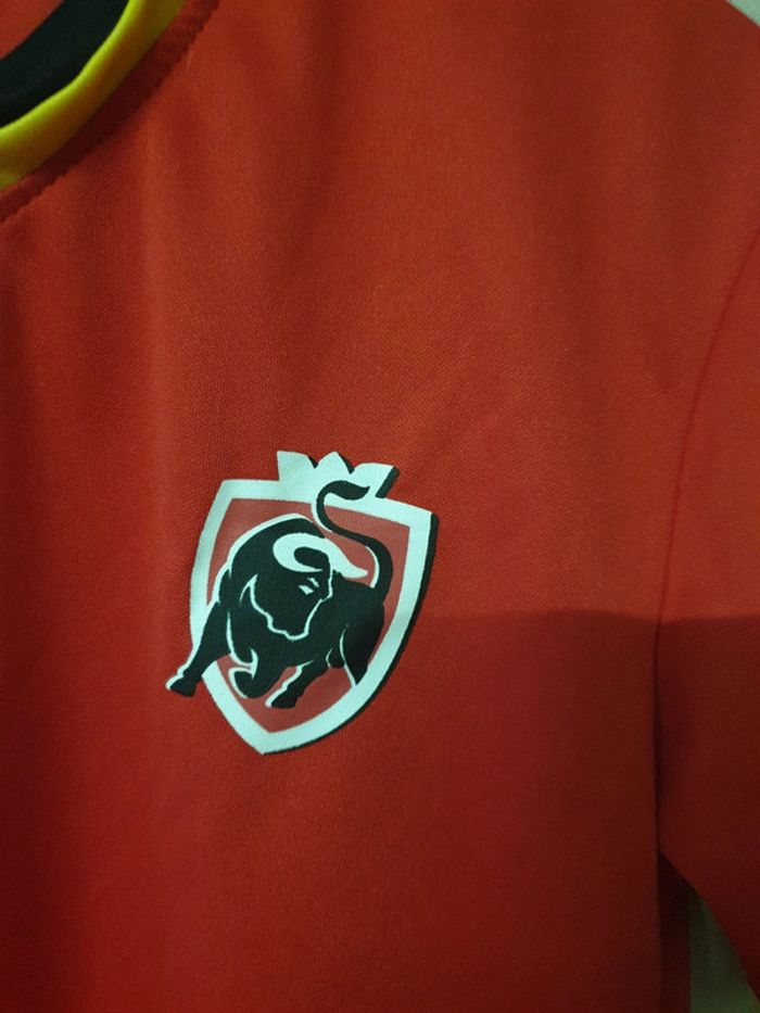 Haut tee shirt supporter belge - photo numéro 2