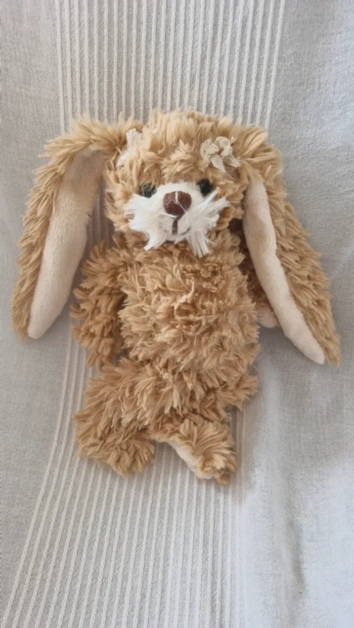 Lapin bukowski