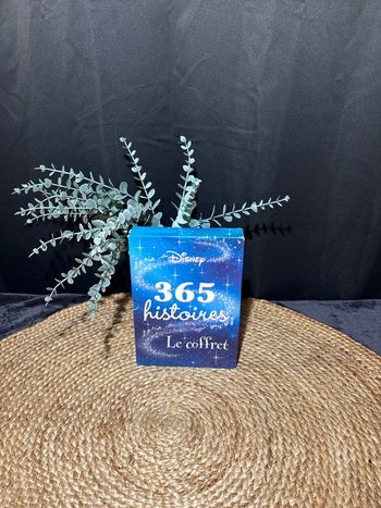 Livres Disney 365 histoires