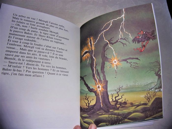 Lot de 2 livres Disney - neuf - photo numéro 3