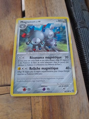 Magneton niv 40 pv 80