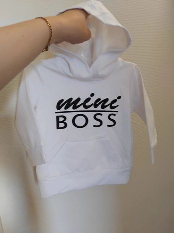 Sweat a capuche neuf 9/12mois