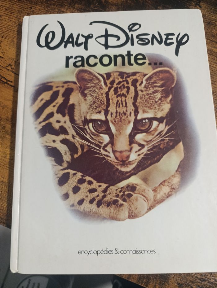 Livre Disney - photo numéro 1