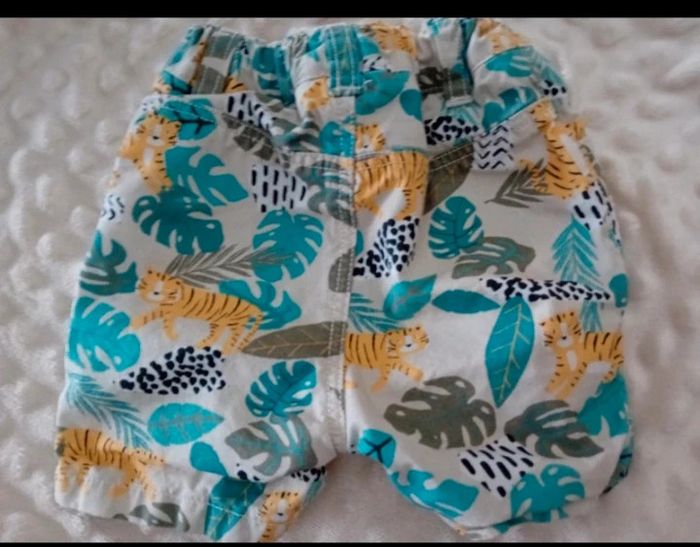 Short tropical - photo numéro 2