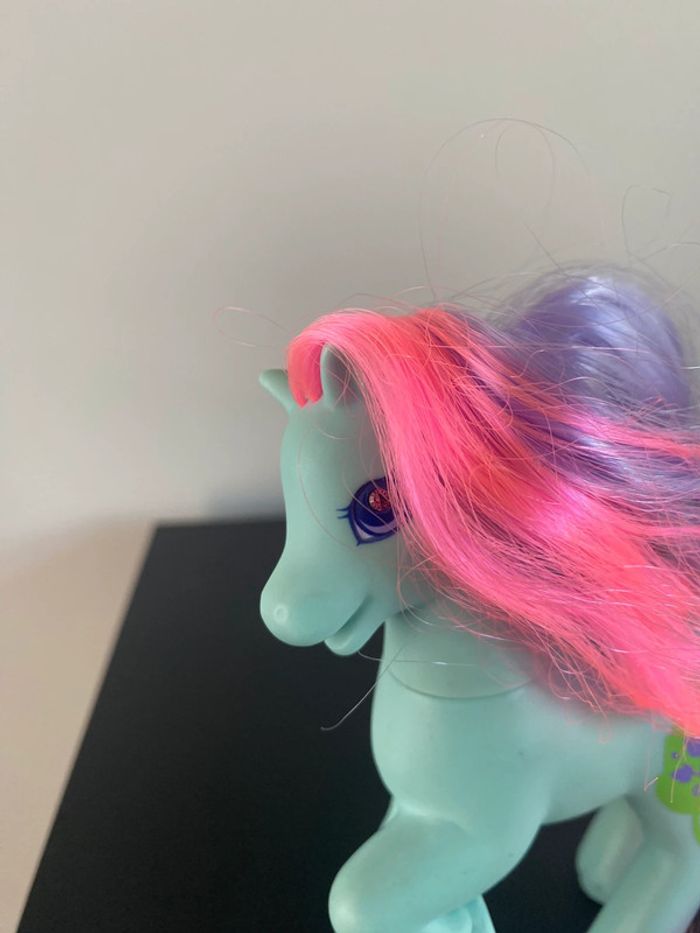 Pony ivy - photo numéro 2
