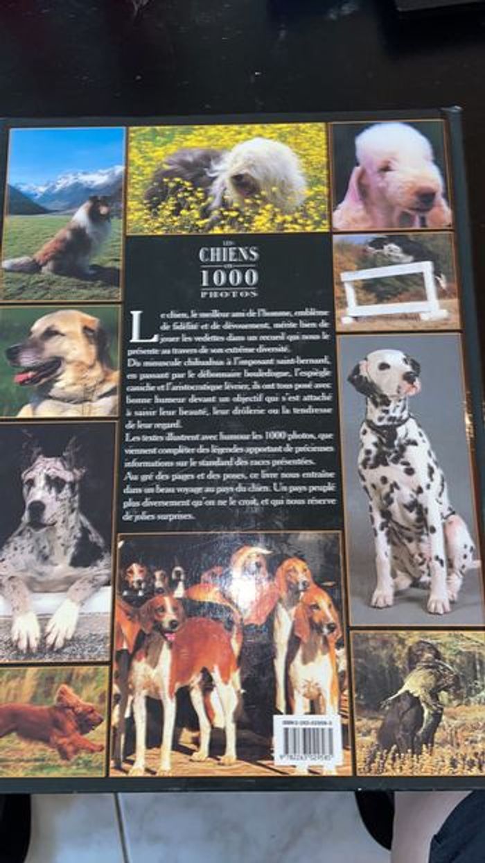 Les chiens en 1000 photos - photo numéro 2