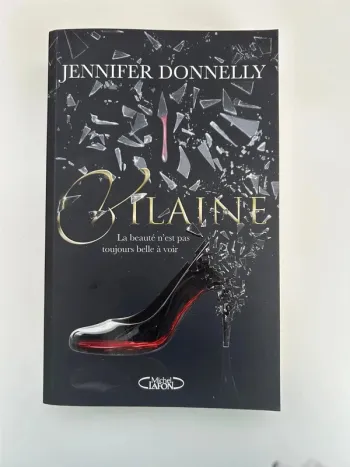 Livre de Jennifer Donnelly - Vilaine - La beauté n'est pas toujours belle à voir - Disney