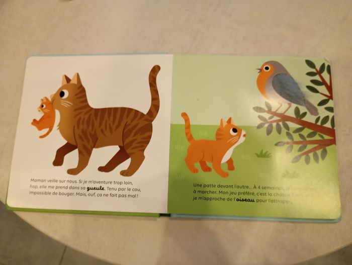 Livre le chat - photo numéro 3
