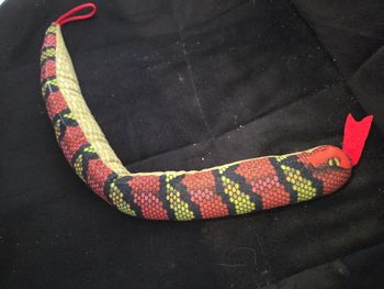 Serpent doudou