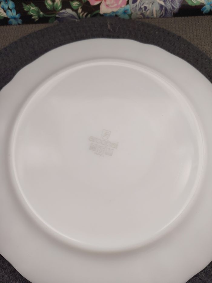 Ensemble de 2 plats ronds Arcopal motifs myosotis Veronica - photo numéro 5