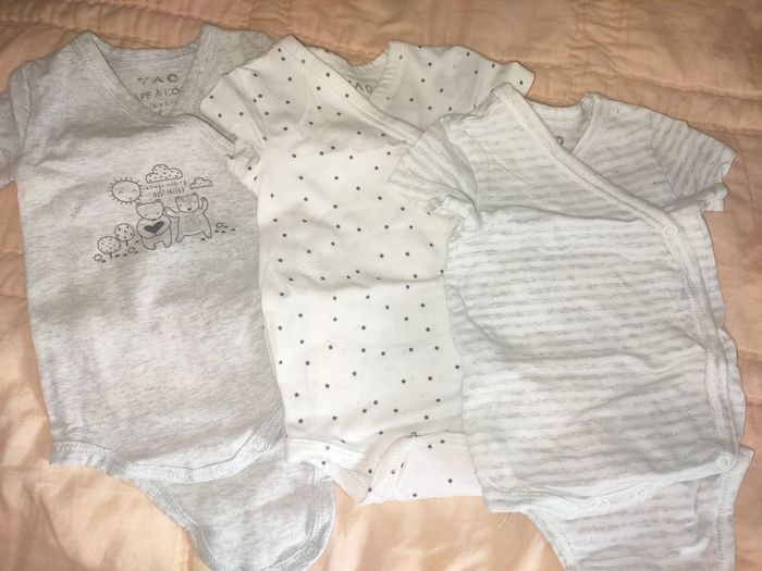 3 bodies NAISS01 - photo numéro 2