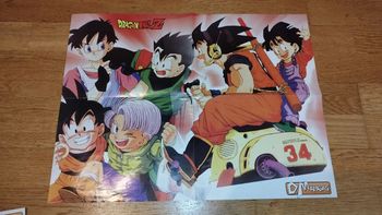 Grand Poster Dragon Ball Serie culte D mangas vintage Ken Ranma Macross Sailor