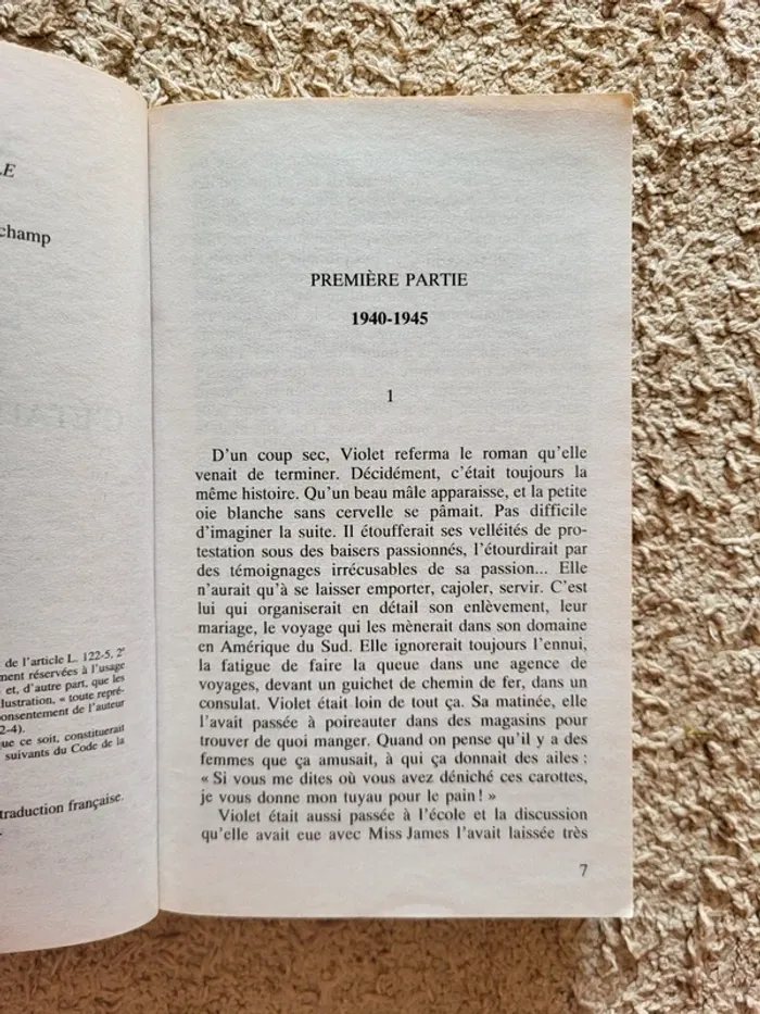 Livre "C'était pourtant l'été" de Maeve Binchy - Roman sentimental et familial - photo numéro 5