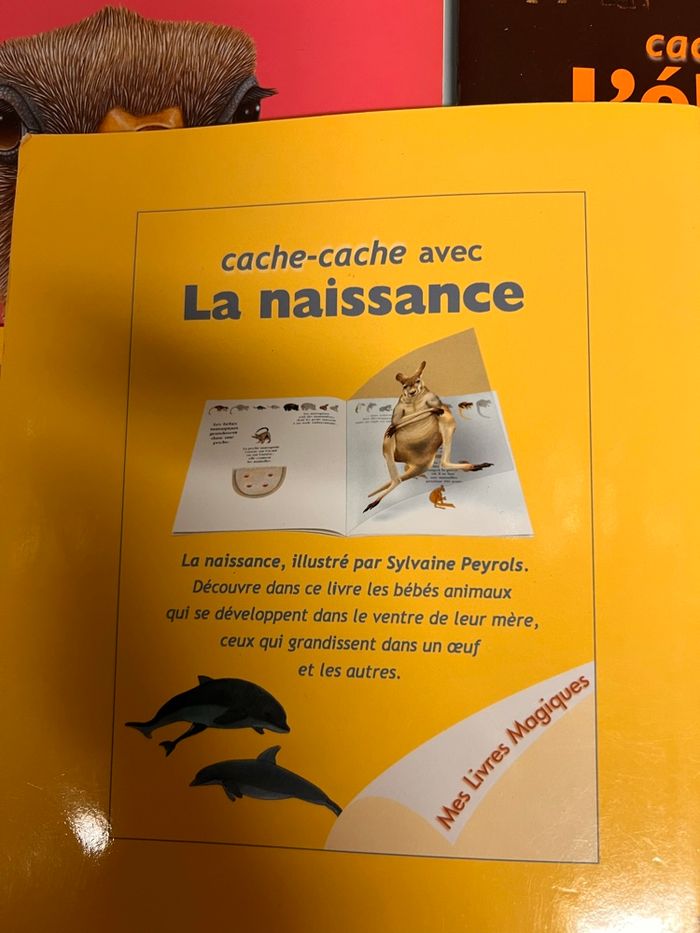 17 livres cache cache Atlas jeunesse - photo numéro 2