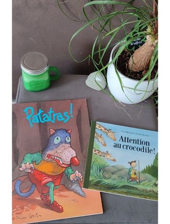 Lot 2 livres école des Max niveau CP