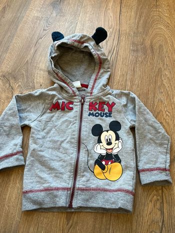 Veste Disney