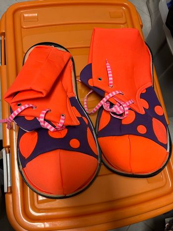 Chaussures clown 
