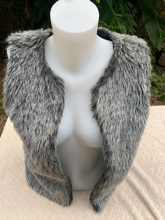 Veste  cache cache sans manches gris taille 42 - photo numéro 4