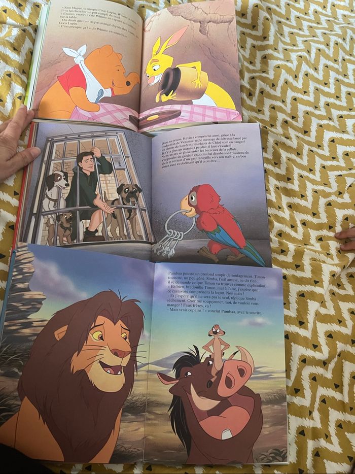 Livres Disney: Winnie l’ourson, les 102 dalmatiens, timon et pumba - photo numéro 4