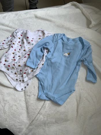 Lot 2 bodies