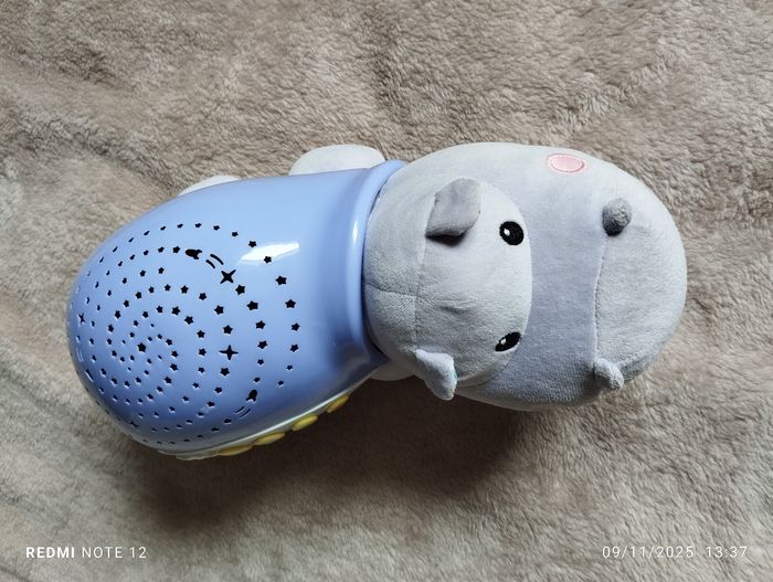 Hippopotame musical - photo numéro 5