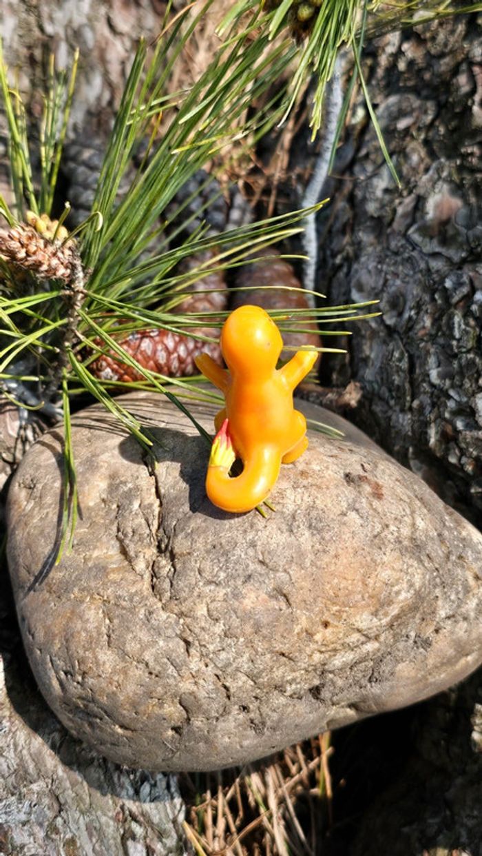 Super figurine Pokemon Nintendo Salameche - photo numéro 3