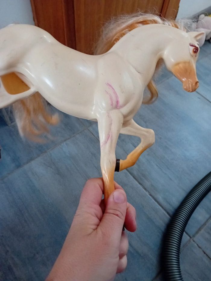 Cheval à donner - photo numéro 4