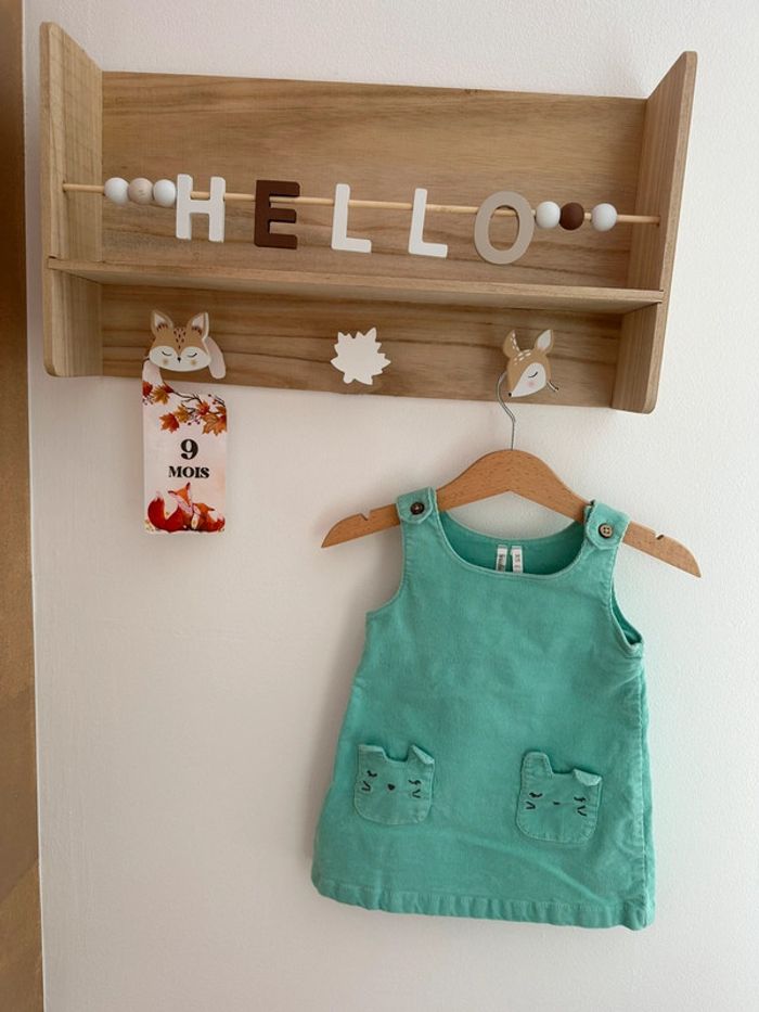 Robe menthe chat