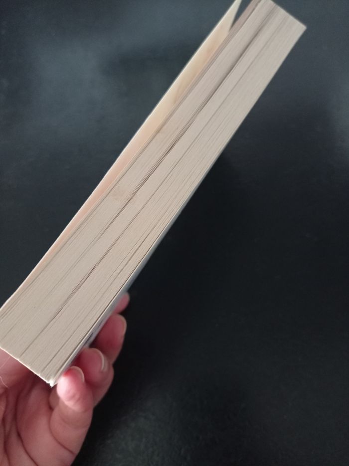 Danielle Steel -" Voyage" - photo numéro 4