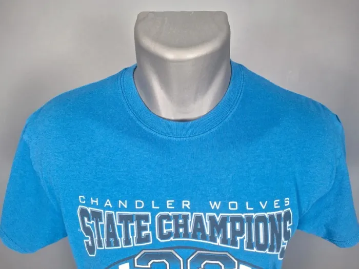 T-shirt Gildan Chandler Wolves 3-Peat 2018 – Bleu – Taille M (555) - photo numéro 2