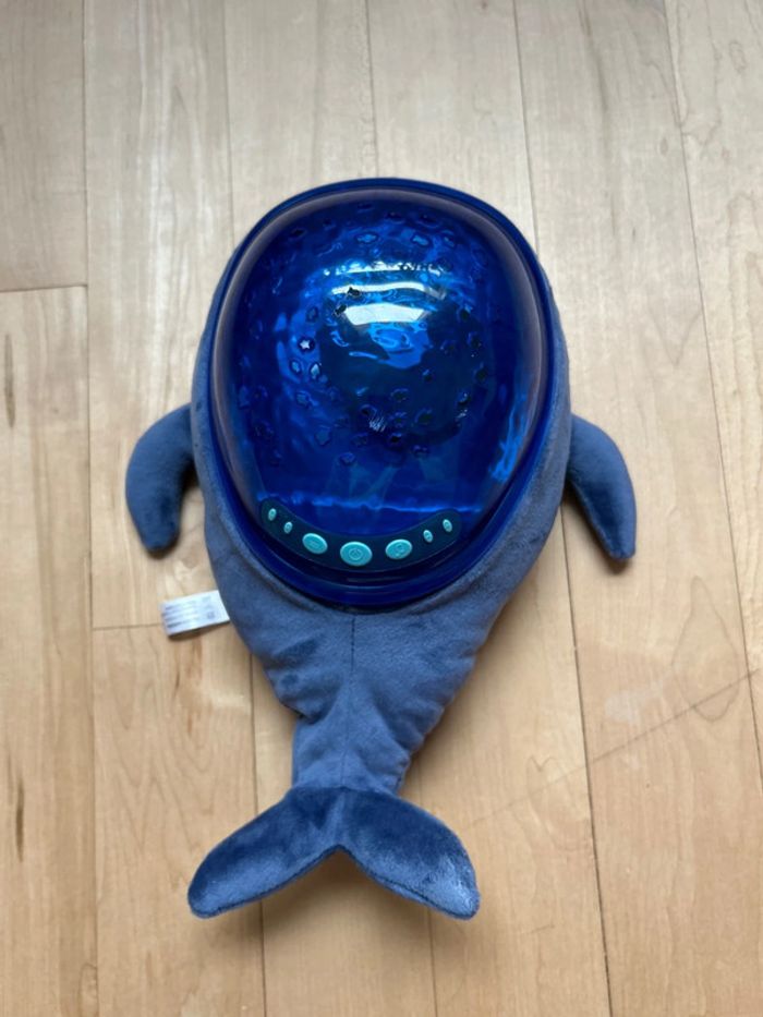 Baleine Pabobo - photo numéro 6