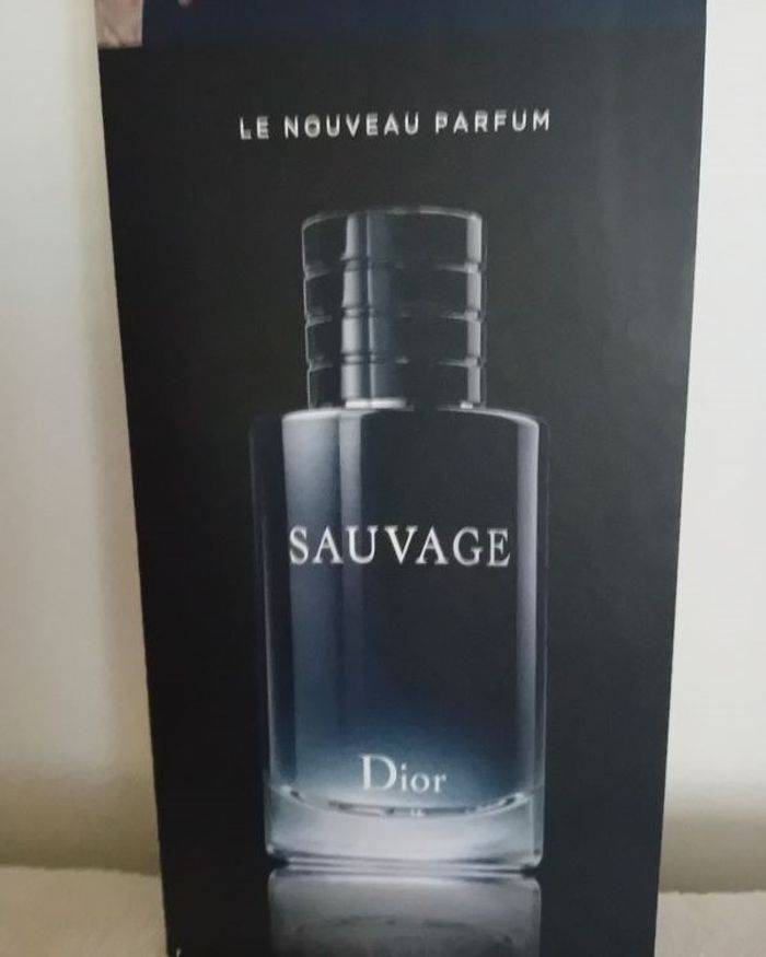 Plv Dior - photo numéro 3
