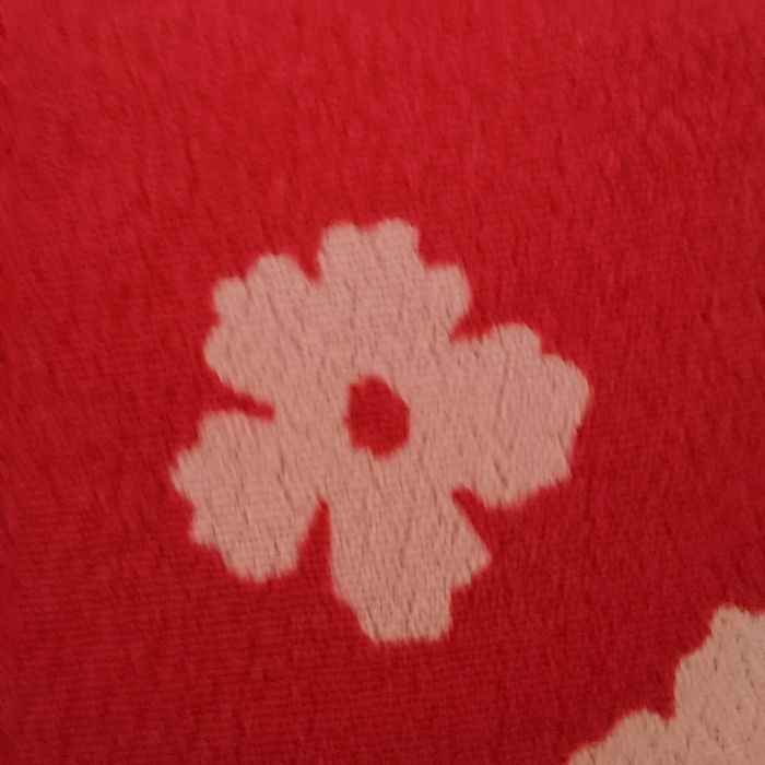 Robe⁷ - photo numéro 7