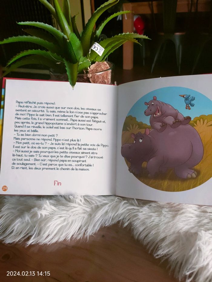 Livre Altaya le lion - photo numéro 3