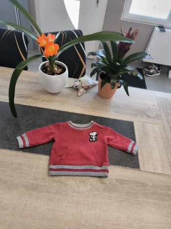 Sweat molletonné garçon 6 mois Snoopy