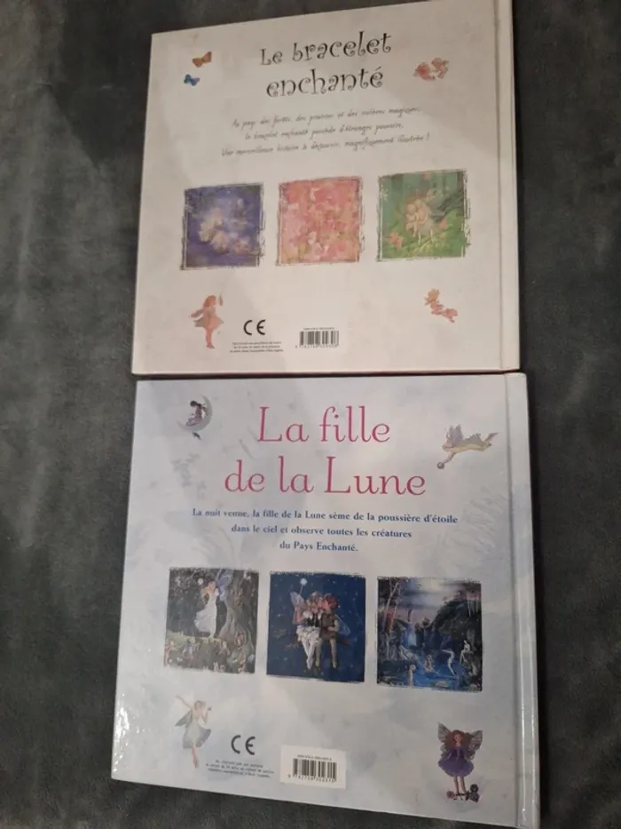 Lot de 2 livres - photo numéro 2