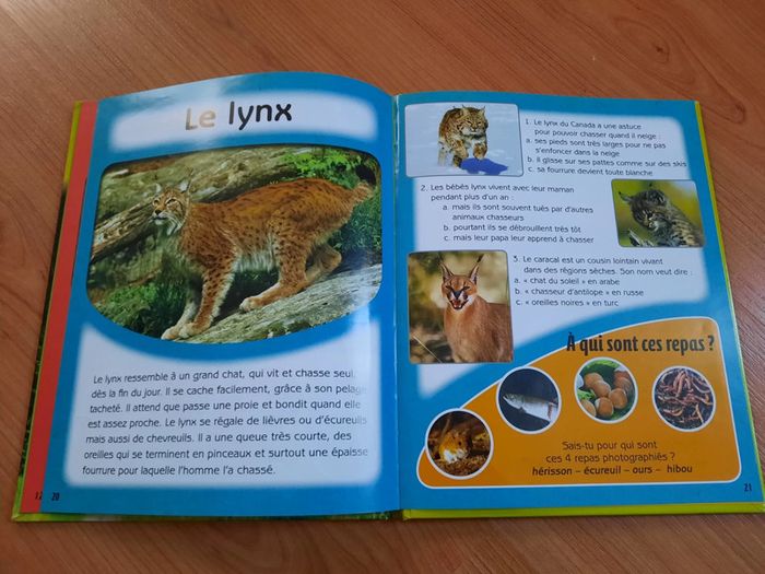Livre quiz des animaux de la forêt - photo numéro 3