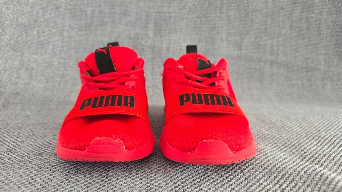 Puma taille 20 - photo numéro 2