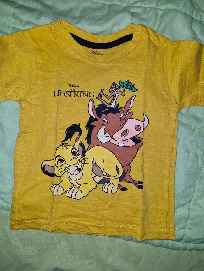 Lot ensemble roi lion - photo numéro 7