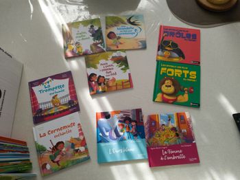 Lot livre macdo 