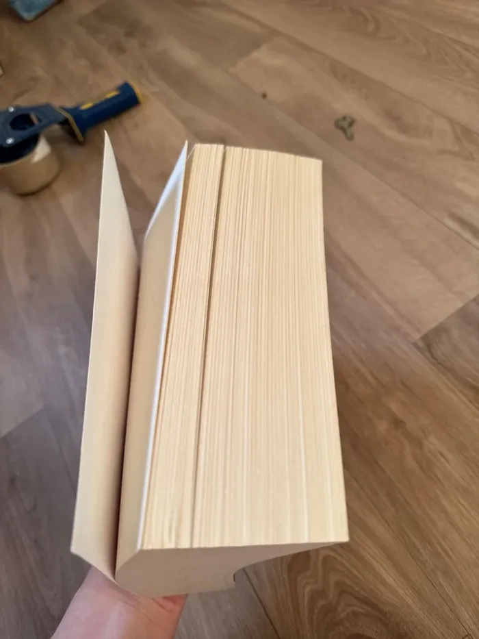 Nicki Pau Preto - L’envol du Phénix tome 1 - photo numéro 5