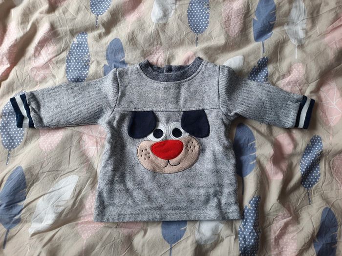 Pull chien