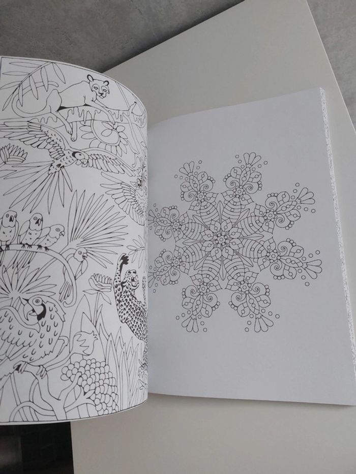 Coloriage pour adulte anti stress - photo numéro 7
