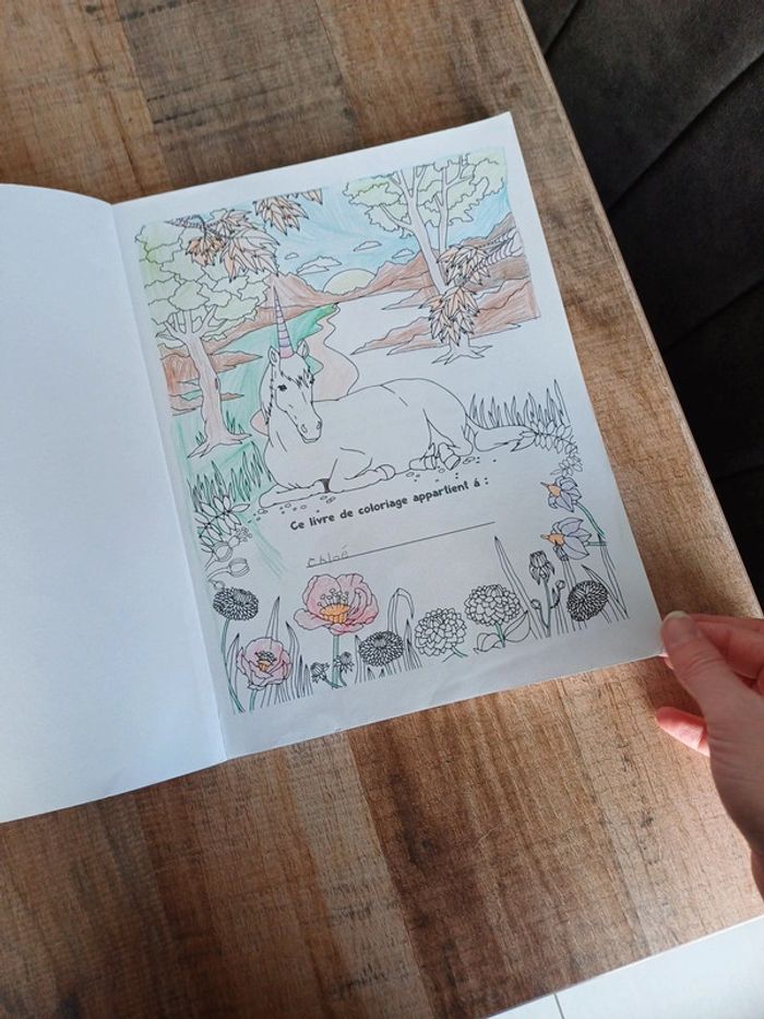 Libre de coloriage Licorne mandala et autres. - photo numéro 4