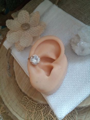 Clip oreille acier et zirconium