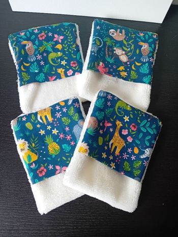 Débarbouillettes