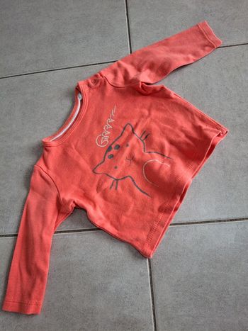 Pull corail
