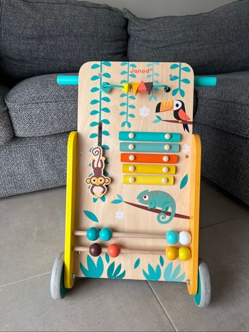 Chariot de marche Janod