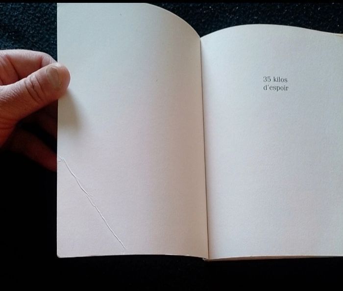 Livre 35 KILOS D'ESPOIR       Anna Gavalda - photo numéro 2
